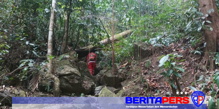 Ramadhan Warga Luwu Timur Masuk ke Hutan Cari Kayu Tak Kunjung Kembali