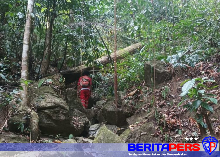 Ramadhan Warga Luwu Timur Masuk ke Hutan Cari Kayu Tak Kunjung Kembali