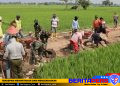 Wujudkan Desa Bebas Longsor, Satgas TMMD Ke130 Kodim 1409 Gowa Kebut Pengerjaan Talud